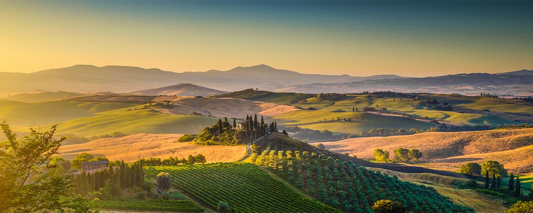 A Day Trip to Tuscany