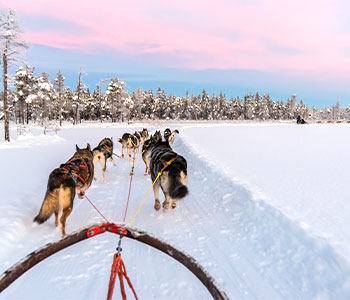 4. Sweden’s Lapland