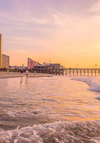 4. The Palmetto Paradise