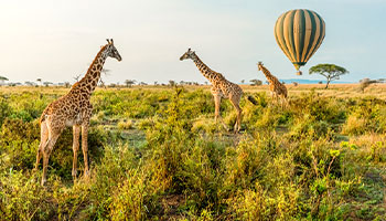 7. The Serengeti, Tanzania