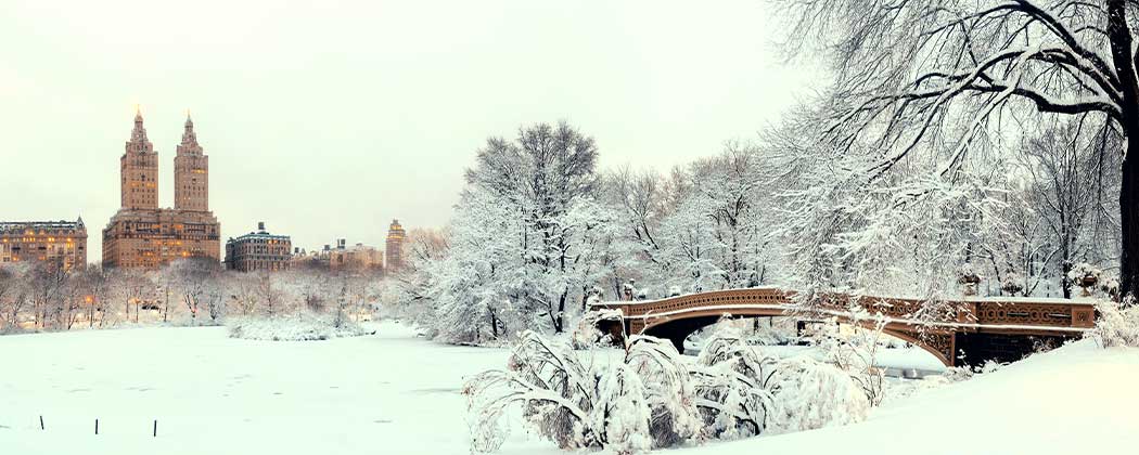 8 of the Best Ways to Experience Christmas in New York