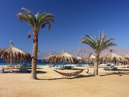 Enjoy the beaches of the Red Sea