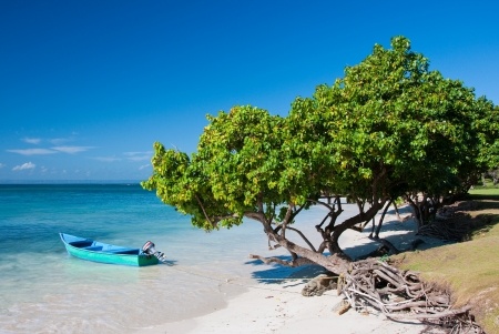 Enjoy beautiful beaches and islands