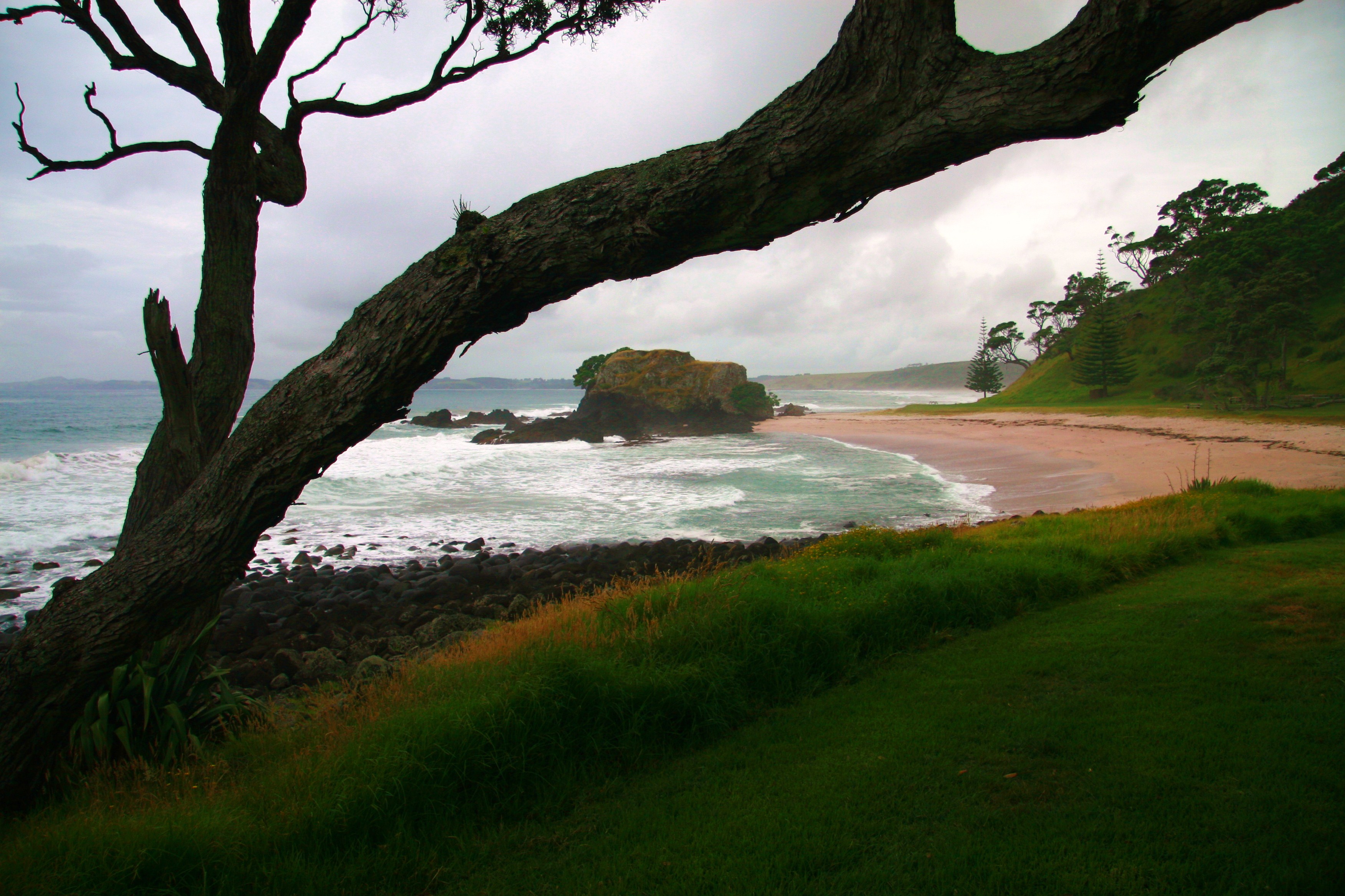 Kauri Cliffs | New Zealand