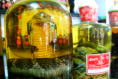 How adventurous are you? The world's weirdest things to try