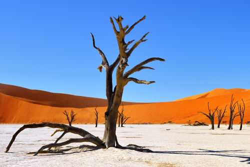 The red sand dunes of Sossusvlei | Namibia
