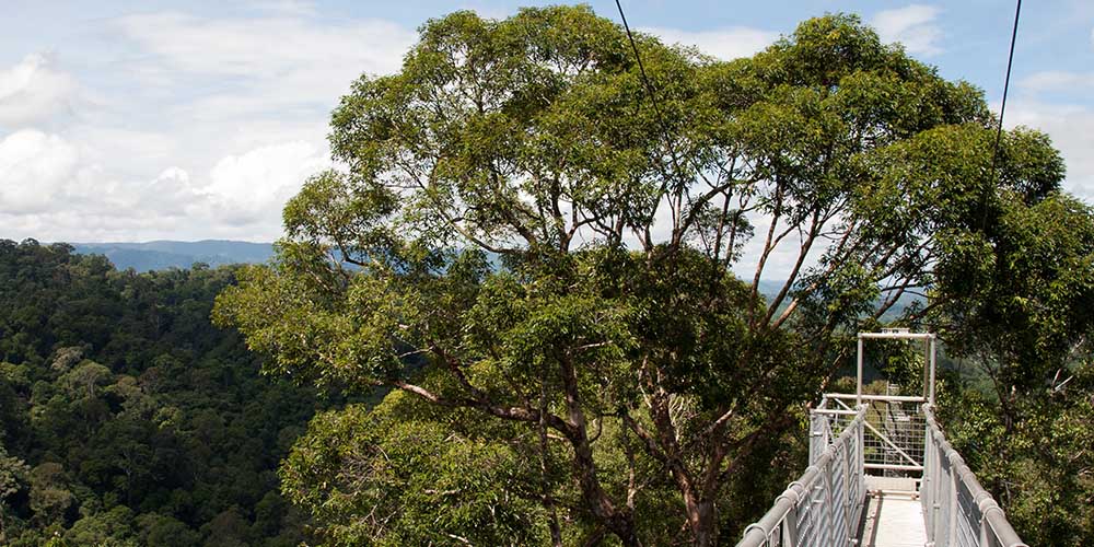 ulu-temburong-national-park