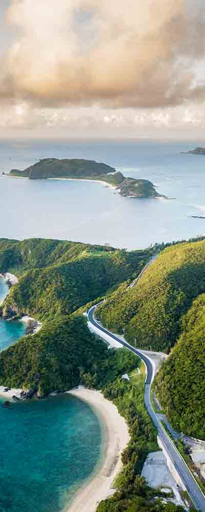 Best Cherry Blossom Spots in Tokyo to Avoid the Crowds