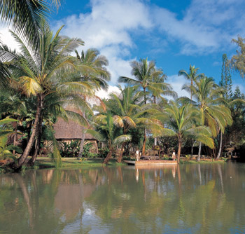 Ride the Sigatoka River Safari